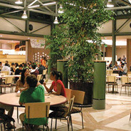 Hoch-Shanahan Dining Commons