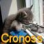 Cronoss