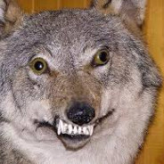 СОБАЧИЙ БУЛЬДОГ