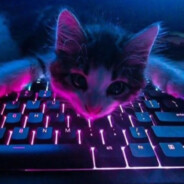 Олежечечик v1.0