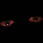 MefedroNek avatar