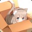 Котик в коробке