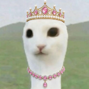 虫需云力白勺虫且