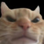 catslooktasty