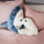 squintiboi