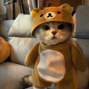 看日落的派大星