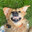 billy avatar