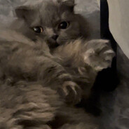 王源中路封颗烟