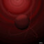 Dotimus