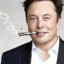 A Long Musk