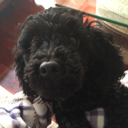 落叶无声 、calm