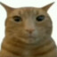 Gort