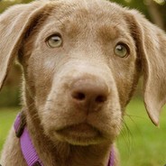 菜刀.砍刀.铅笔刀