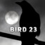 EmpTyBrdcaGe23