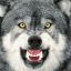 vvSheWolfvv