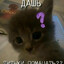 Я ЛЮБЛЮ НИКУ