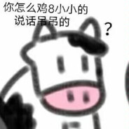 赵向阳实名上网