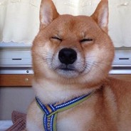 Losser/Xtrfy *LBET竞技