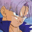 Trunks