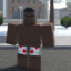 AntonimCase.Gift