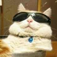 CAT IS PLAYING - steam id 76561199032661200