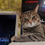 М.косолапый