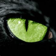 lajt - steam id 76561197961797526