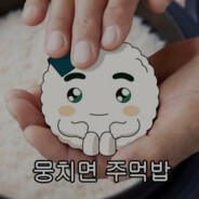뭉치면 주먹밥