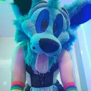 Alpha Wolf