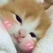 catys