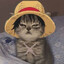Cait¹