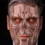 STARMINATOR