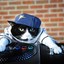 DJ CAT