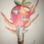 Appletorch