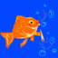 High_Goldfish