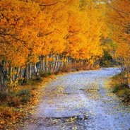 那个男孩有问题