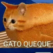 El gato queque