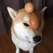pepec