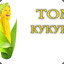 Том Кукуруз