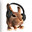 King Besh avatar