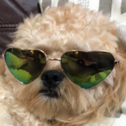 宮竹国家転覆TV