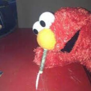ELMO