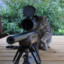 Sniper Cat Power