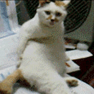 我才不是菠萝呢