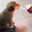 ˢᵉᵛᵉⁿ