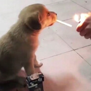 ˢᵉᵛᵉⁿ