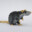 Rat