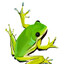 frogg