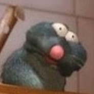rat