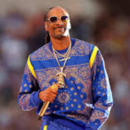 шпион собака